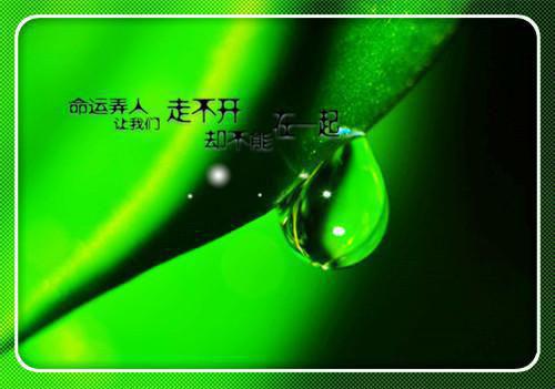 (番外)+(全文)商予淮宋泠音（途径一场风月：+结局+番外）完结阅读无弹窗大结局_(商予淮宋泠音)最新章节列表_笔趣阁（途径一场风月：+结局+番外）