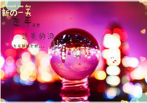 林轻雨裴启湛小说在哪里看 林轻雨裴启湛在线阅读第3章