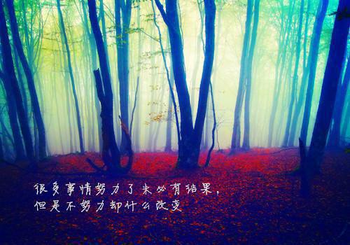 带着无敌系统闯异界(完整版)全文免费阅读辰申福顺小说