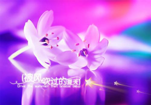 （头条）拿她当垫脚石小说(沈清玥墨辞)整本免费版阅读无广告（拿她当垫脚石）