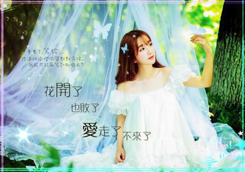 苏清雪林泽是啥小说 苏清雪林泽免费阅读无广告