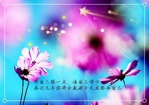楚昭慕君霆免费阅读 楚昭慕君霆最新章节目录