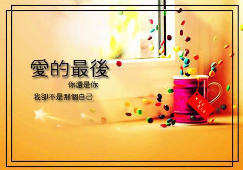 重生选夫宴：这次我让他下地狱李廷舟温妍免费章节在线阅读