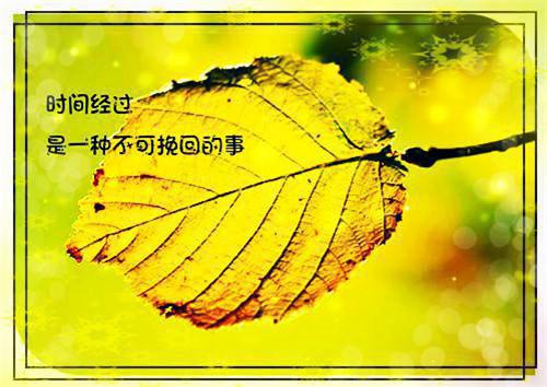 陆棠雪顾禹城小说叫什么 陆棠雪顾禹城小说全文免费阅读