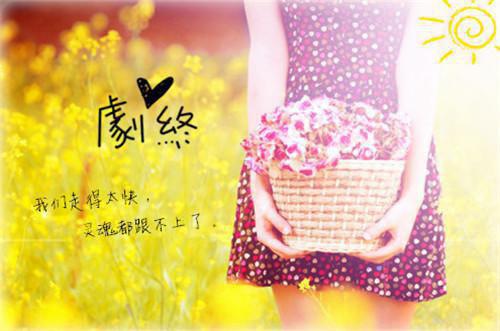 被吊销驾照后，我没慌，闺蜜却慌全文目录 唐萱付宇航谢苏小说免费阅读无广告