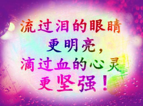全本人面桃花长相忆：+后续+完本+无删减（阮雾梨谢昀川闻砚辞）最新章节列表_全本人面桃花长相忆：+后续+完本+无删减全文阅读