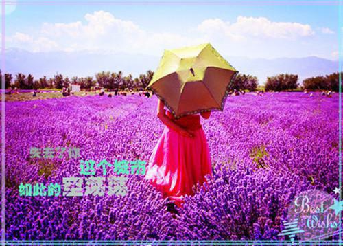 宋凌免费阅读 宋凌大结局