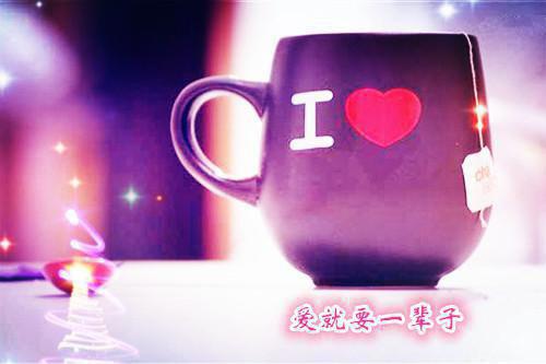人面桃花长相忆创作编写全文小说阮雾梨闻砚辞小说在线阅读