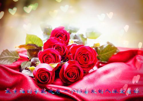 完结文重生：别闹了！我现在移情别恋了结局+番外爽文最新章节列表_完结文重生：别闹了！我现在移情别恋了结局+番外爽文全文免费阅读（姜明织关鲸序）