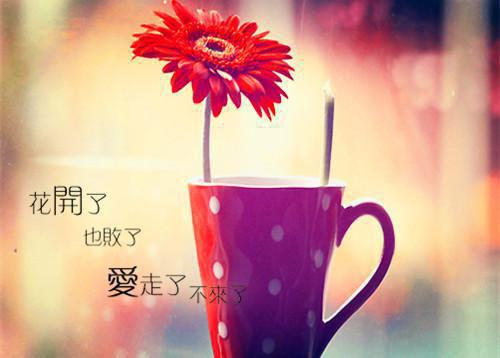 被未婚夫助理喊大黄狗后，我让他后悔终身小说 黄文君裴成元在线阅读第4章