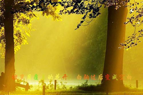 乐娘娘寅修完整版 乐娘娘寅修小说全文在线阅读