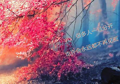 林晓瑜小说 林晓瑜全文免费阅读