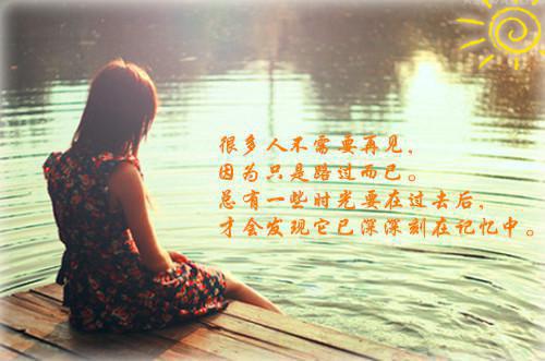 陆曦禾沈昭行小说章节目录+序章（陆曦禾沈昭行）全书畅享在线