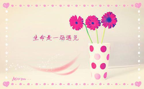 沈牧轩姜思茗谢斯羽小说免费 沈牧轩姜思茗谢斯羽第1章在线阅读