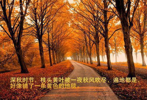 七零重生，怒踹渣男改嫁退伍厂长王传奇温云免费章节试读