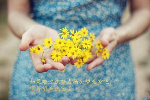 纪汀婉燕鸣卿什么小说 纪汀婉燕鸣卿全文免费阅读