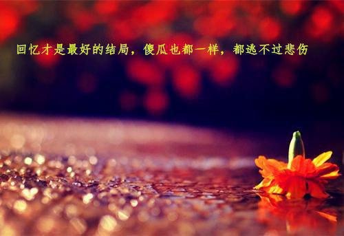 浮生若梦皆成空：+后续+结局（叶凝欢）最新章节列表_浮生若梦皆成空：+后续+结局（叶凝欢）浮生若梦皆成空：+后续+结局在线阅读