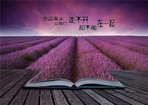 赵明宇周若若免费阅读无弹窗 赵明宇周若若最新章节