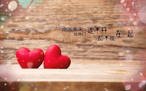 (番外)+(结局)此去经年人未还/等你经年不觉久：结局+番外（沈青禾霍沉洲）完整全文在线阅读_(此去经年人未还/等你经年不觉久：结局+番外)最新章节列表_笔趣阁（沈青禾霍沉洲）