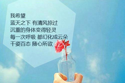 爱像星沉海底顾白月沈星完结小说全文在线阅读