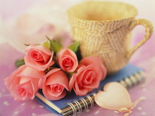 林舒晚楚寒屿免费阅读小说 林舒晚楚寒屿第2章