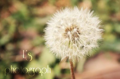 宁郁夏明哲大结局免费阅读 宁郁夏明哲全文小说