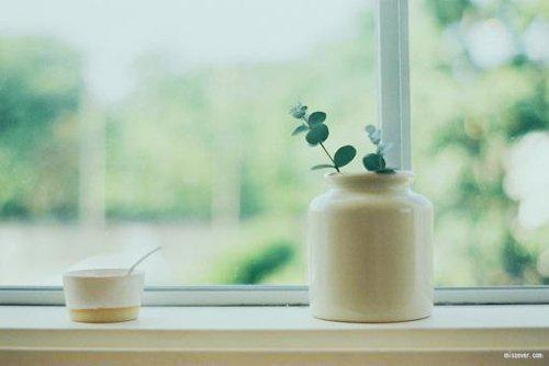 给你的第三封信是遗言：+后续宝藏文（沈佳芮顾温言）最新章节列表_给你的第三封信是遗言：+后续宝藏文全文阅读