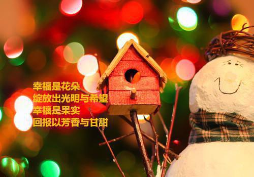 沈歆宁周屿小说阅读 沈歆宁周屿全文免费无广告