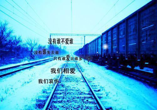 老公花光存款给公公买保健品后，我笑了王莉沈左权小说最新章节(在线阅读)
