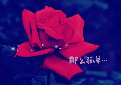 周屿沈歆宁小说最后结局 周屿沈歆宁完结版免费阅读