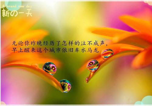全文浏览潮起时问归期：全文+后续+结局（江以蓁秦司礼）_潮起时问归期：全文+后续+结局（江以蓁秦司礼）全文结局