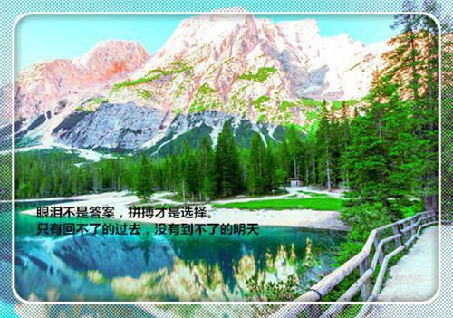 民间风水异闻录刘根苗王强全文免费阅读(已完结)