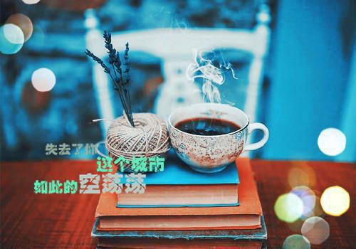 郁望珩江青禾免费阅读无弹窗 郁望珩江青禾最新章节