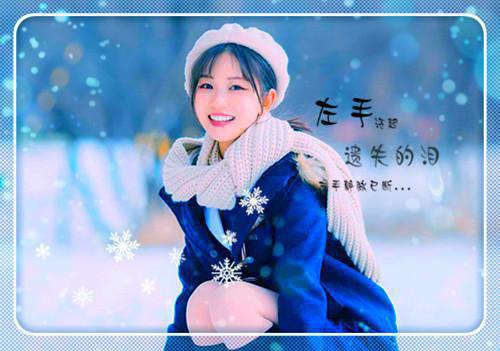此间相思无穷极(结局) 贺昭野沈蔷免费阅读全文
