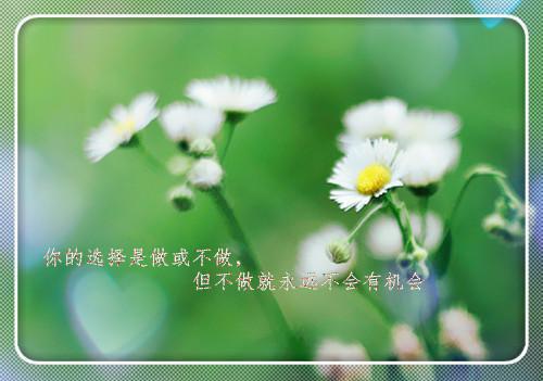 当女配看见弹幕后，被病娇男主强制爱了：结局+番外（江柠裴纪洲）最新章节列表_当女配看见弹幕后，被病娇男主强制爱了：结局+番外全文阅读