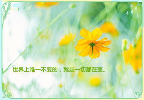 订婚当天，未婚妻要给她的私生子上族谱全文目录 李默苏晴小说免费阅读无广告