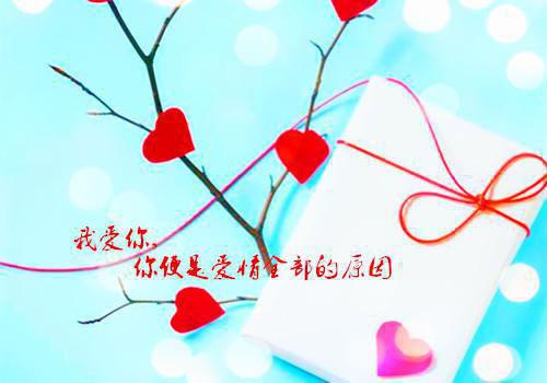 温清漪傅修诚小说章节免费阅读 温清漪傅修诚无弹窗