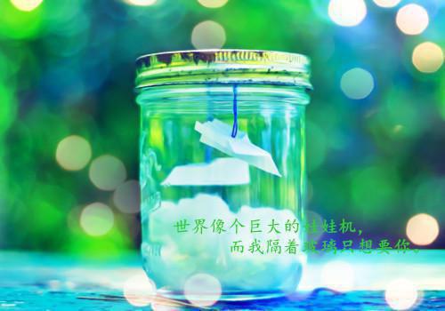 逼我做肉盾后，黑帮佛爷悔疯了免费章节抢先阅读