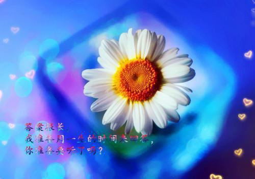 主角名是简若姝周旭淮全文免费阅读正版