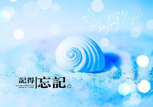 沈清辰江秋宁的小说 沈清辰江秋宁全文免费阅读
