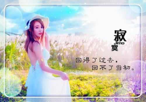 柳青青夏诚免费大结局 甘露寺回府后，族人全部被我赶走完结小说
