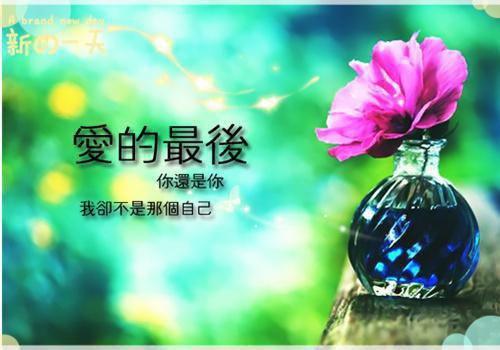 许如月沈珏王献灵李明窈全文免费大结局 许如月沈珏王献灵李明窈小说在线阅读