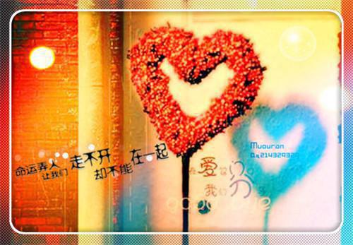 京圈总裁骗我结婚后，我打胎了小说 京圈总裁骗我结婚后，我打胎了抹茶66
