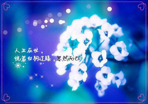 韩亦辰苏凌悅免费章节最新 此爱焚心已成烬大结局+全文完整版by阿钱