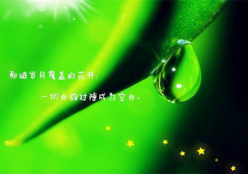 白延庆杨清妍是什么小说 妻子公司破产后，她却来找我要工资神秘人