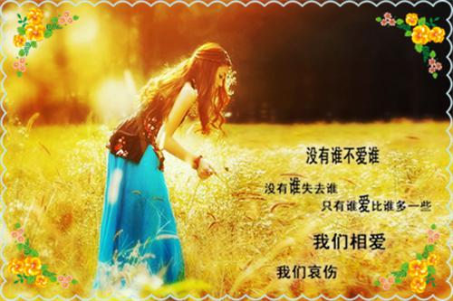 姜璃沈默小说全文免费阅读 姜璃沈默最新章节
