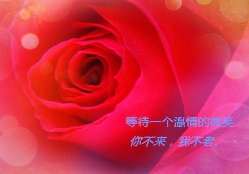 与你行至天光免费阅读 主角夏曦棠薄墨辰