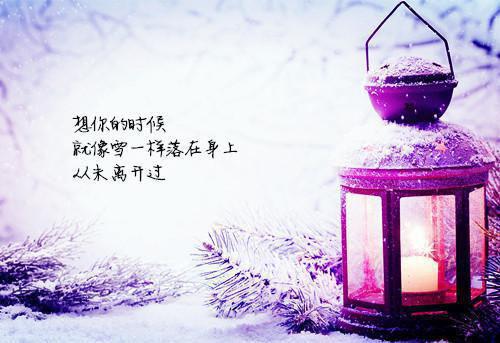 (抖音小说)沈明初张菲免费阅读第1章