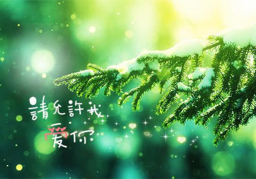 (番外)+(全文)此去经年人未还：全文+后续+结局（沈青禾霍沉洲）全文免费阅读无弹窗大结局_（此去经年人未还：全文+后续+结局）最新章节列表_笔趣阁（沈青禾霍沉洲）