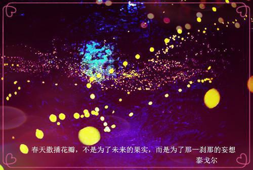 姜苒陆长霆陆枝是什么书 姜苒陆长霆陆枝免费章节在线阅读